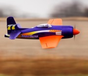 E-flite Rare Bear von Horizon Hobby