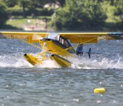 Wasserfliegen im Paradies