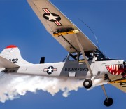 Die Cessna L-19 Bird Dog und ihre Versionen