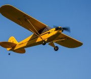 Piper J-3 Cub von Horizon Hobby